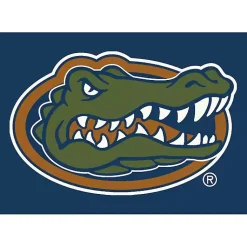 Kirklands Home University of Florida Area Rug, 4x6 Sale