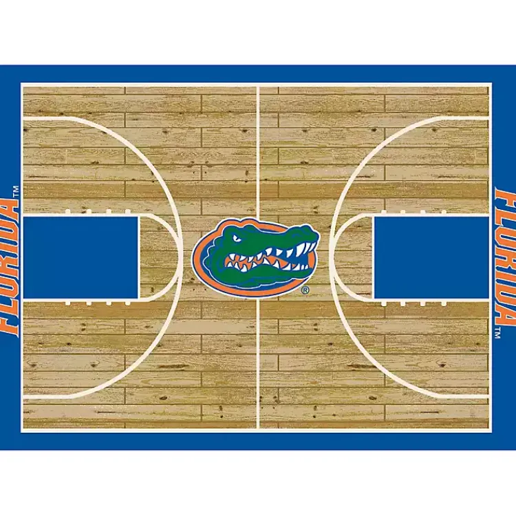 Kirklands Home University of Florida Courtside Area Rug, 4x6 Best