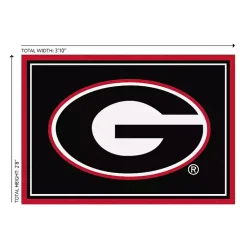 Kirklands Home University of Georgia Area Rug, 3x4 Online