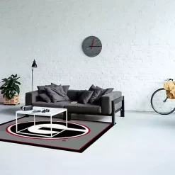 Kirklands Home University of Georgia Area Rug, 4x6 New