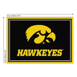 Kirklands Home University of Iowa Area Rug, 3x4 Hot