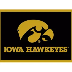 Kirklands Home University of Iowa Area Rug, 4x6 Hot
