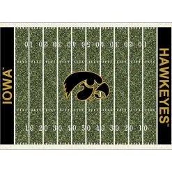 Kirklands Home University of Iowa Homefield Area Rug, 6x8 Hot