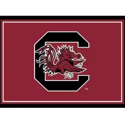 Kirklands Home University of South Carolina Area Rug, 3x4 Hot