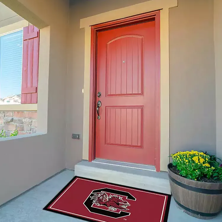 Kirklands Home University of South Carolina Area Rug, 3x4 Hot