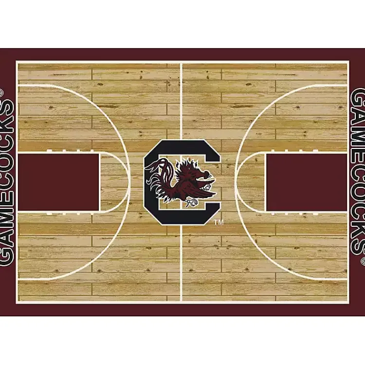 Kirklands Home University of South Carolina Courtside Rug, 4x6 Online