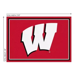 Kirklands Home University of Wisconsin Area Rug, 3x4