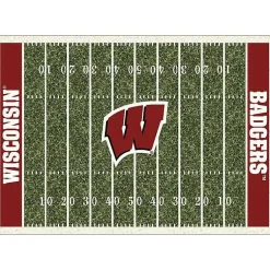 Kirklands Home University of Wisconsin Homefield Area Rug, 6x8 Best