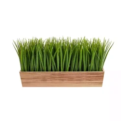 Arrangements & Greenery>Kirklands Home Vanilla Grass in Rustic Wood Planter