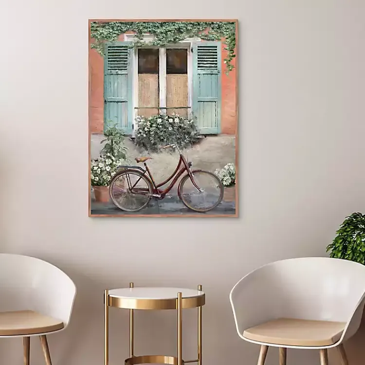 Kirklands Home Velo de Montpellier Framed Canvas Art Print Clearance