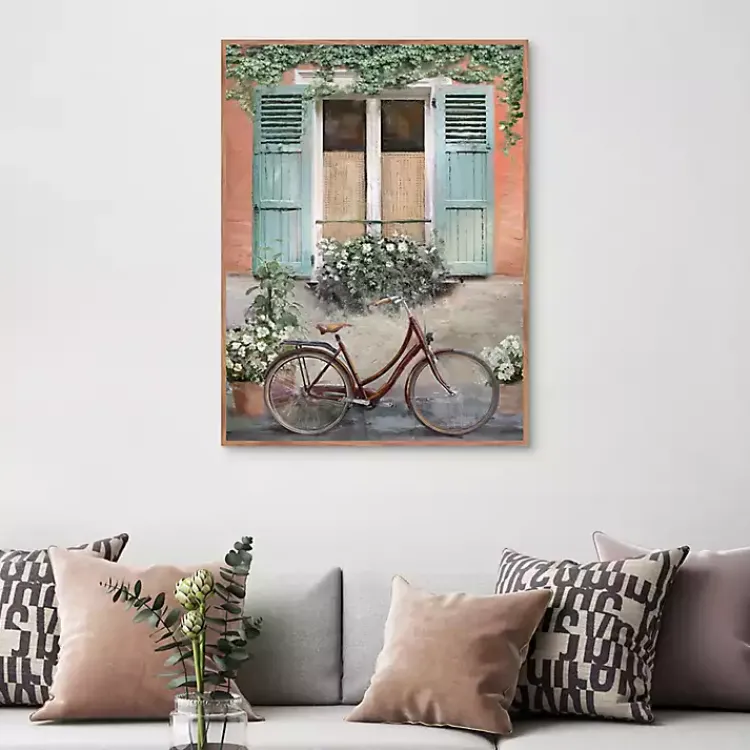 Kirklands Home Velo de Montpellier Framed Canvas Art Print Clearance