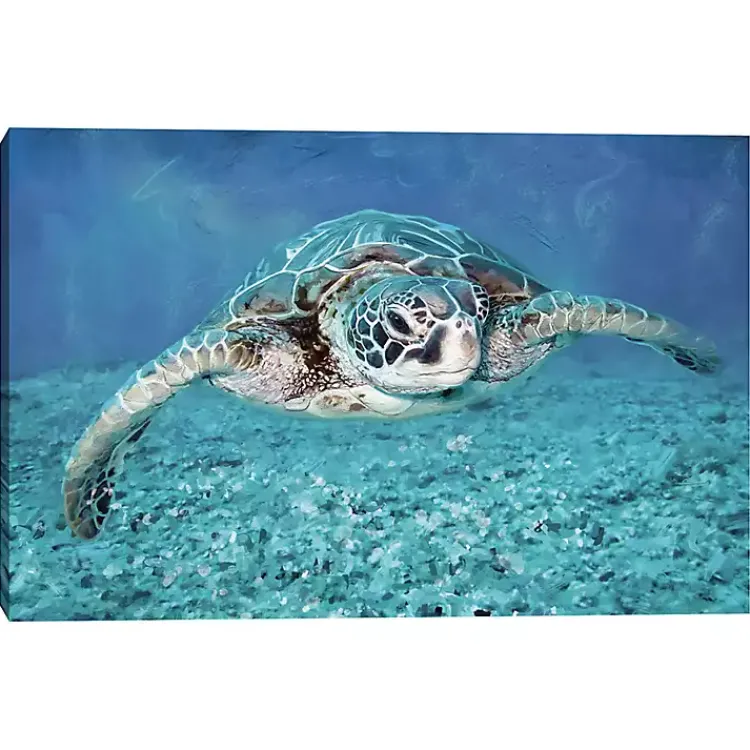 Kirklands Home Vibrant Sea Turtle Canvas Art Print Best