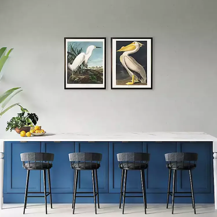 Kirklands Home Vintage American White Pelican Framed Art Print New
