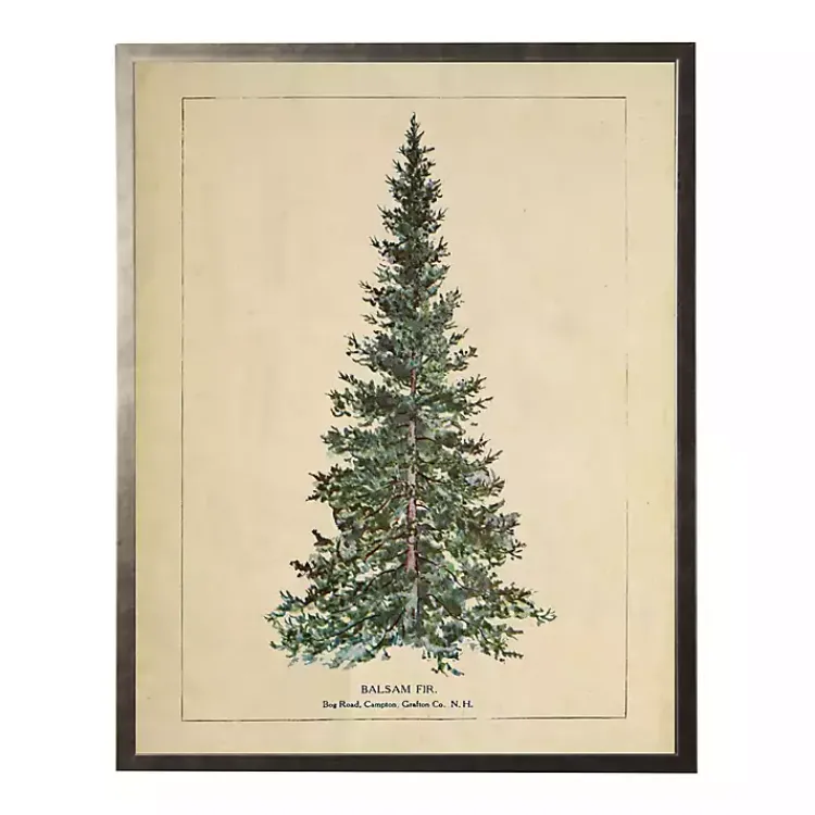 Christmas Art & Wall Decor>Kirklands Home Vintage Balsam Tree Framed Art Print