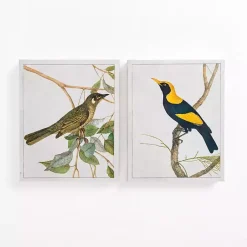 Kirklands Home Vintage Birds Canvas Art Prints, Set of 2 Online