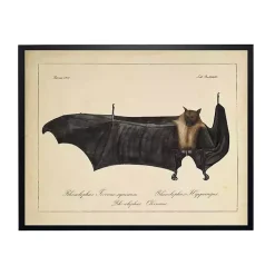 Halloween>Kirklands Home Vintage Black Bat Halloween Wall Plaque
