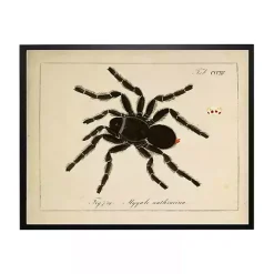 Halloween>Kirklands Home Vintage Black Spider Halloween Wall Plaque