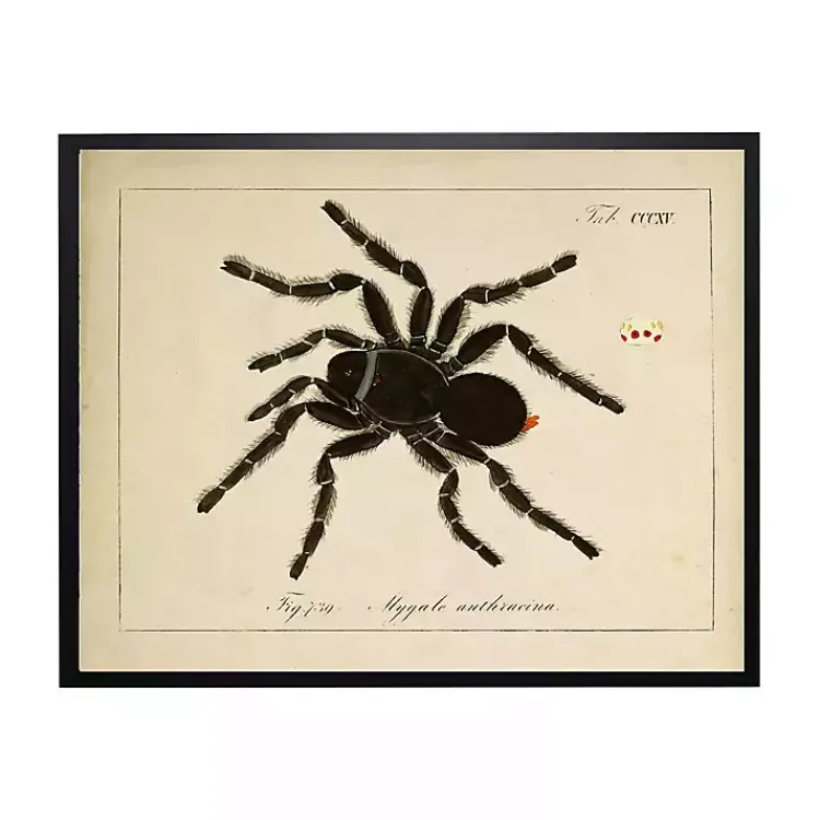 Halloween>Kirklands Home Vintage Black Spider Halloween Wall Plaque
