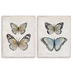 Kirklands Home Vintage Butterflies Canvas Art Prints, Set of 2 Outlet