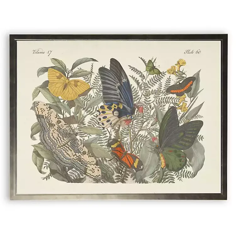 Kirklands Home Vintage Butterfly Bookplate Framed Art Print