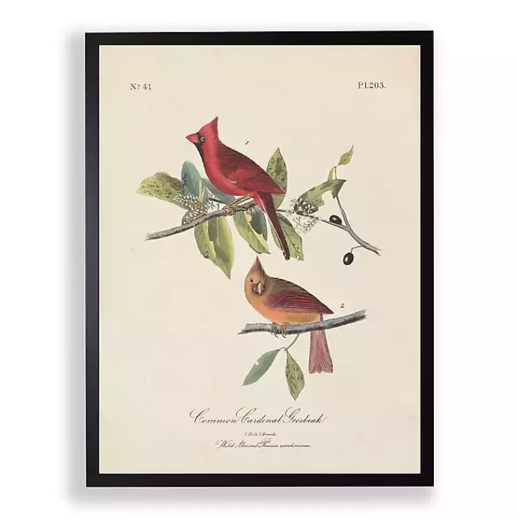 Kirklands Home Vintage Cardinal Birds Framed Art Print Clearance