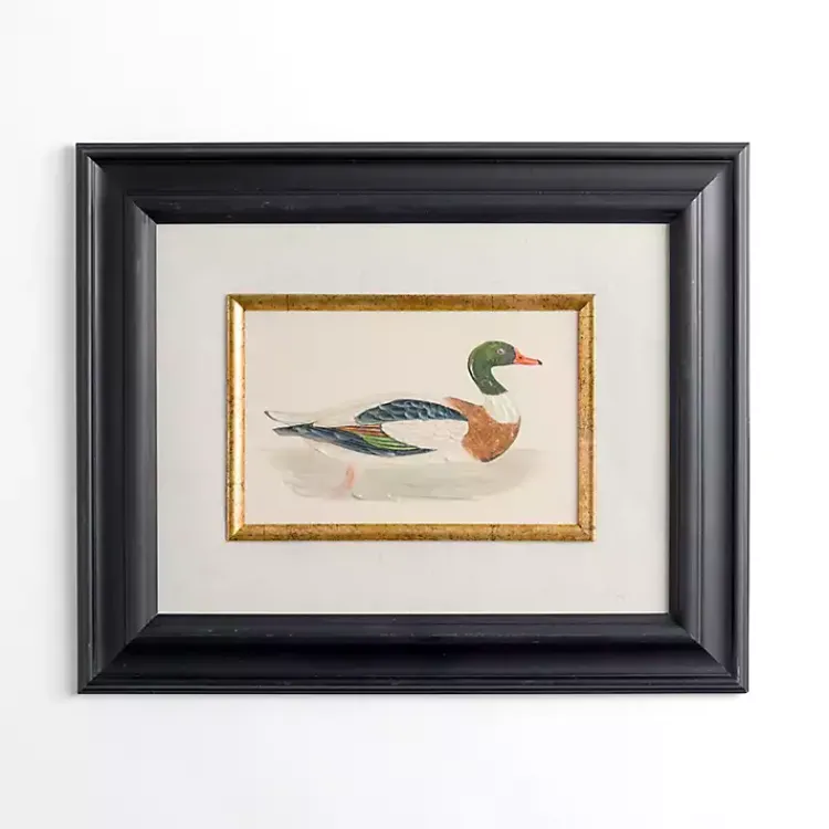 Kirklands Home Vintage Duck Framed Art Print Multi Best