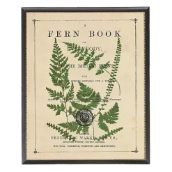Kirklands Home Vintage Fern II Framed Art Print Multi Best
