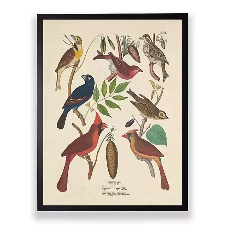 Kirklands Home Vintage Finch Birds Framed Art Print