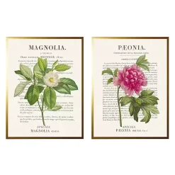 Kirklands Home Vintage Floral Diagram Framed Art Prints, Set of 2