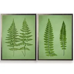 Kirklands Home Vintage Ferns I Framed Art Prints, Set of 2 Green Online