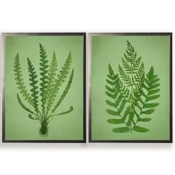 Kirklands Home Vintage Ferns II Framed Art Prints, Set of 2 Green