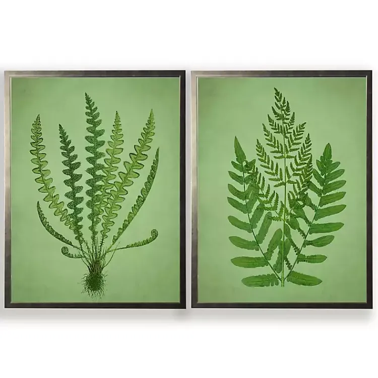 Kirklands Home Vintage Ferns II Framed Art Prints, Set of 2 Green