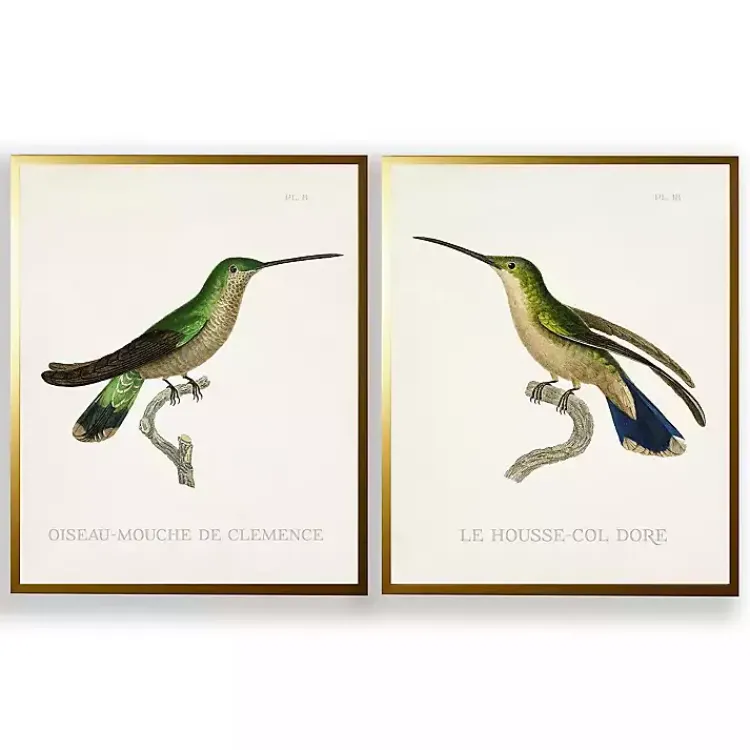 Kirklands Home Vintage Hummingbird II 2-pc. Framed Art Print Set Sale