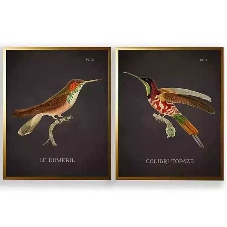 Kirklands Home Vintage Hummingbird III 2-pc. Framed Art Print Set Best