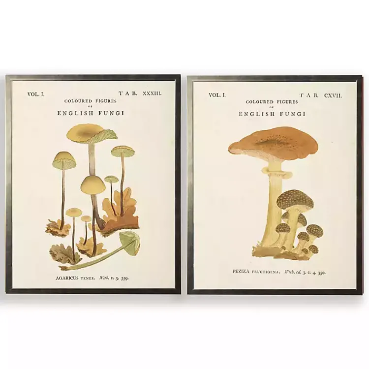Kirklands Home Vintage Mushrooms II Framed Art Prints, Set of 2 Online