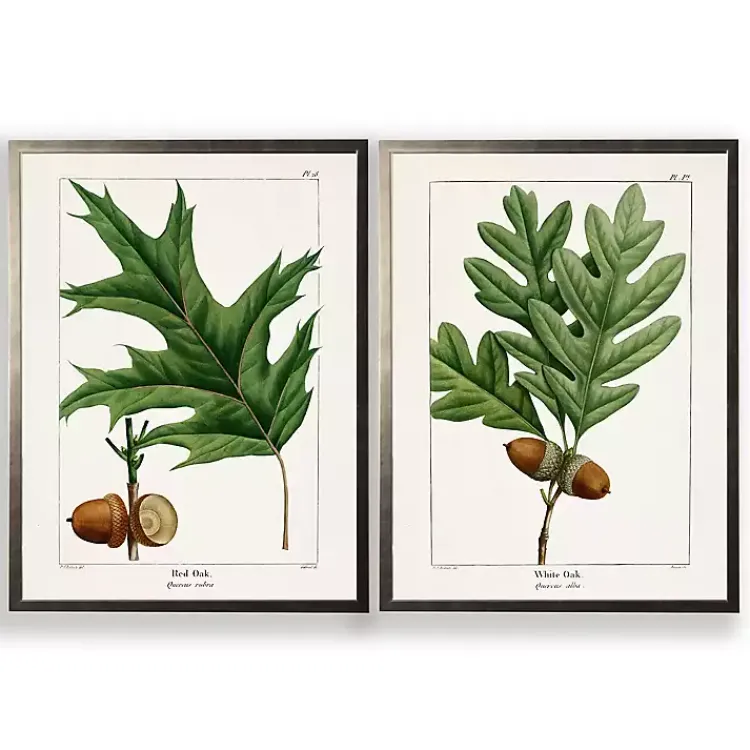 Kirklands Home Vintage Oak Leaves Framed Art Prints, Set of 2 Online