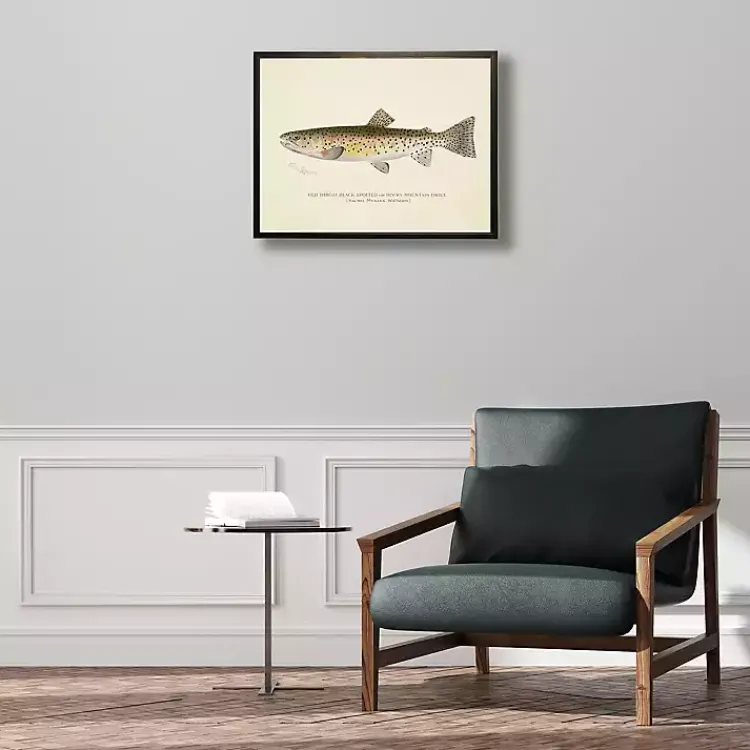 Kirklands Home Vintage Rocky Mountain Trout Framed Art Print Outlet