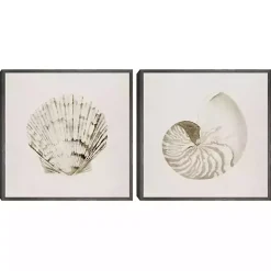 Kirklands Home Vintage Shells Framed Canvas Art Prints, Set of 2 Ivory