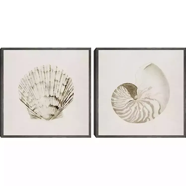 Kirklands Home Vintage Shells Framed Canvas Art Prints, Set of 2 Ivory