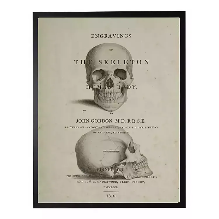 Halloween>Kirklands Home Vintage Skull Framed Halloween Wall Art