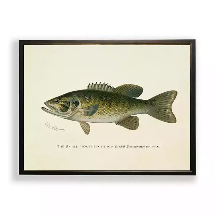 Kirklands Home Vintage Small Mouthed Bass Framed Art Print Hot