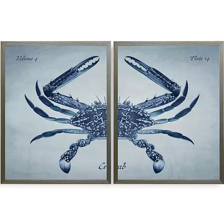 Kirklands Home Vintage Split Crab Framed Art Prints, Set of 2 Blue Hot