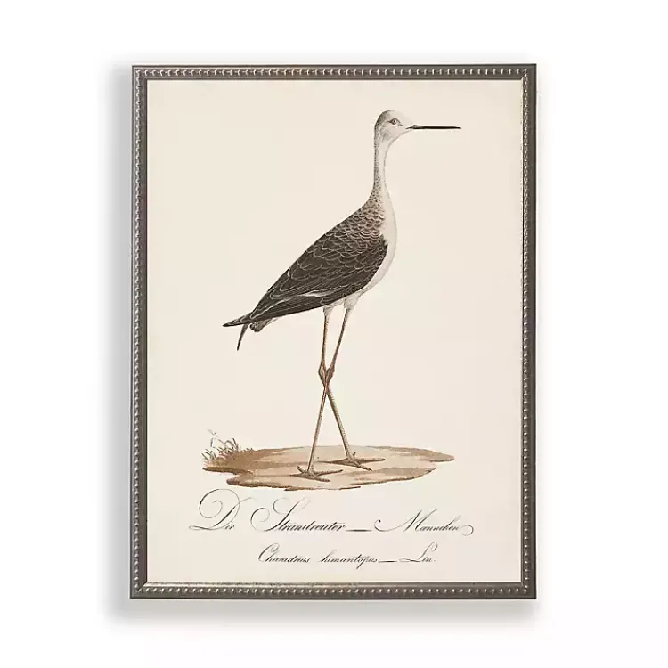 Kirklands Home Vintage Waterbird Facing Right Framed Art Print Clearance