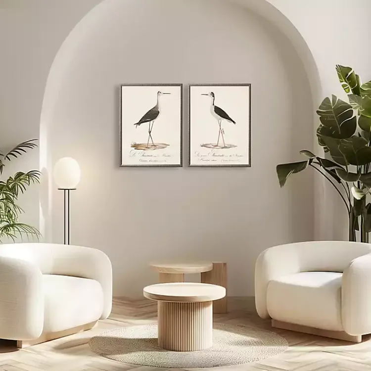 Kirklands Home Vintage Waterbird Facing Right Framed Art Print Clearance
