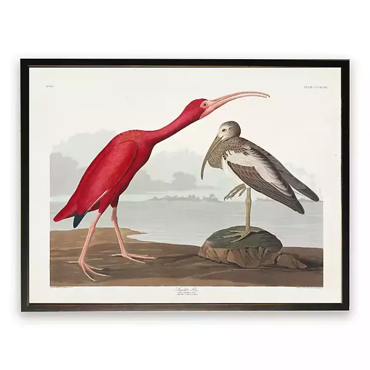 Kirklands Home Vintage Waterbird Pair Bookplate Framed Art Print Outlet