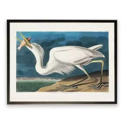 Kirklands Home Vintage White Pelican With Fish Framed Art Print Online