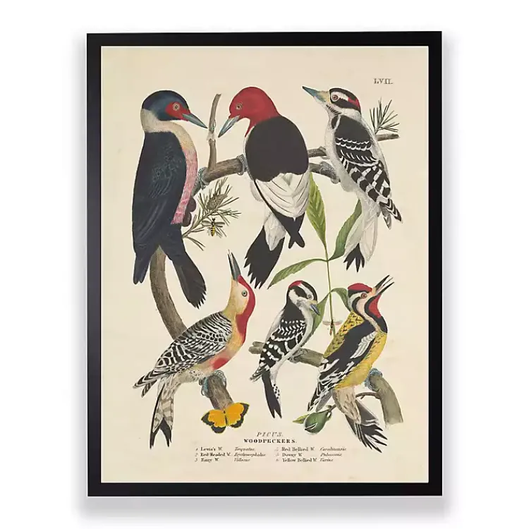 Kirklands Home Vintage Woodpecker Birds Framed Art Print Clearance