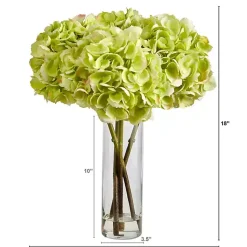 Arrangements & Greenery>Kirklands Home Watered Hydrangea Bouquet in Tall Glass Vase Green