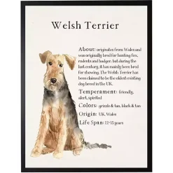 Kirklands Home Welsh Terrier Facts Framed Wall Plaque Outlet
