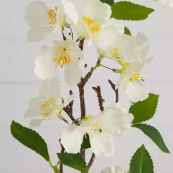 Stems & Bouquets><noscript><img width=